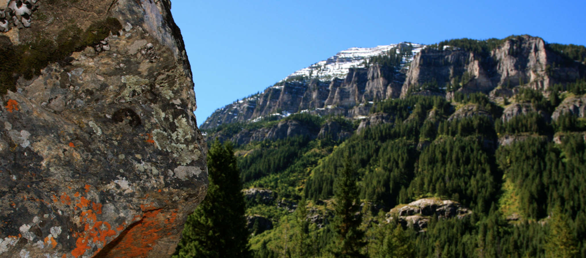 Calamity Campground Targhee Wy 6000