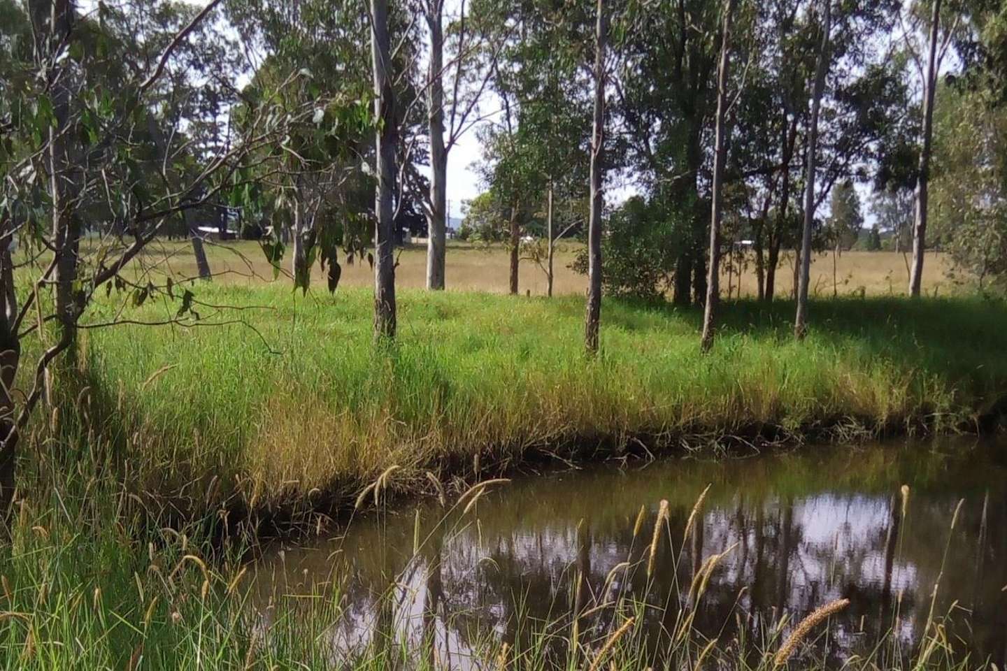 Camping shop casino nsw reservations Camping shop casino nsw reservations