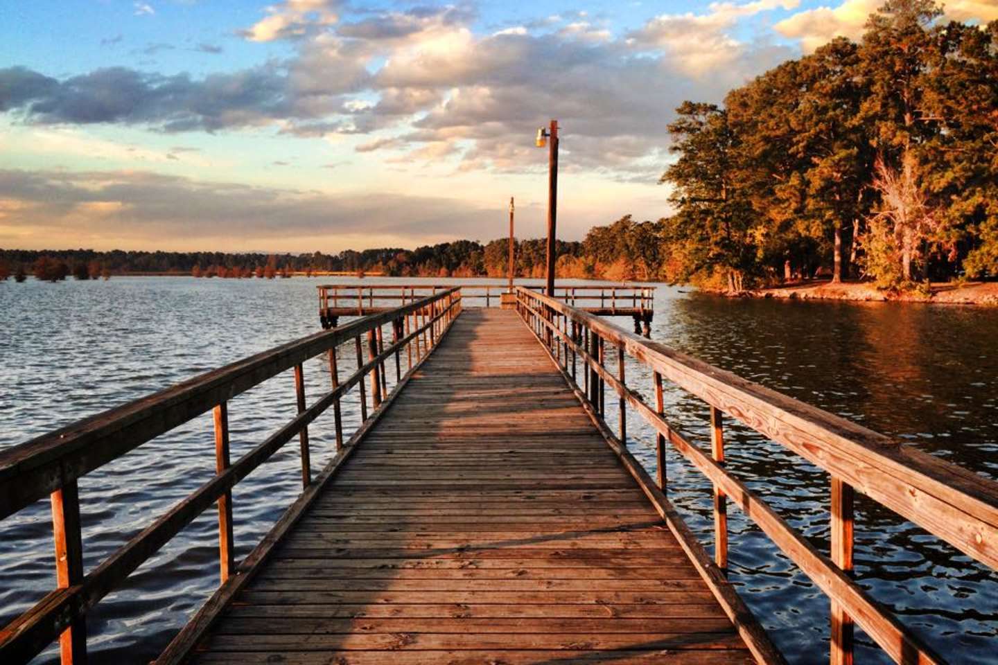 Best Camping In And Near Martin Dies Jr State Park