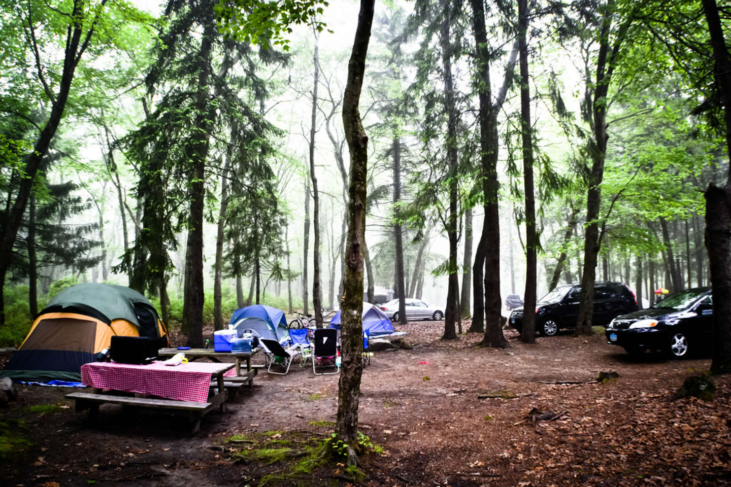Best Camping In And Near Burlingame State Park
