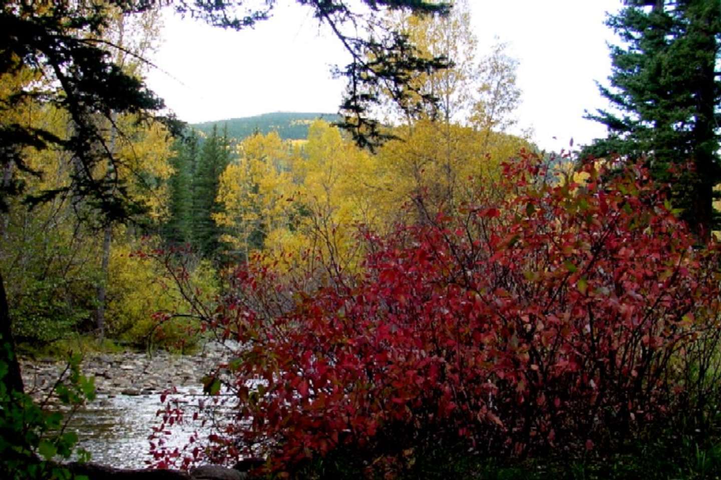 Best Camping In And Near Carson National Forest