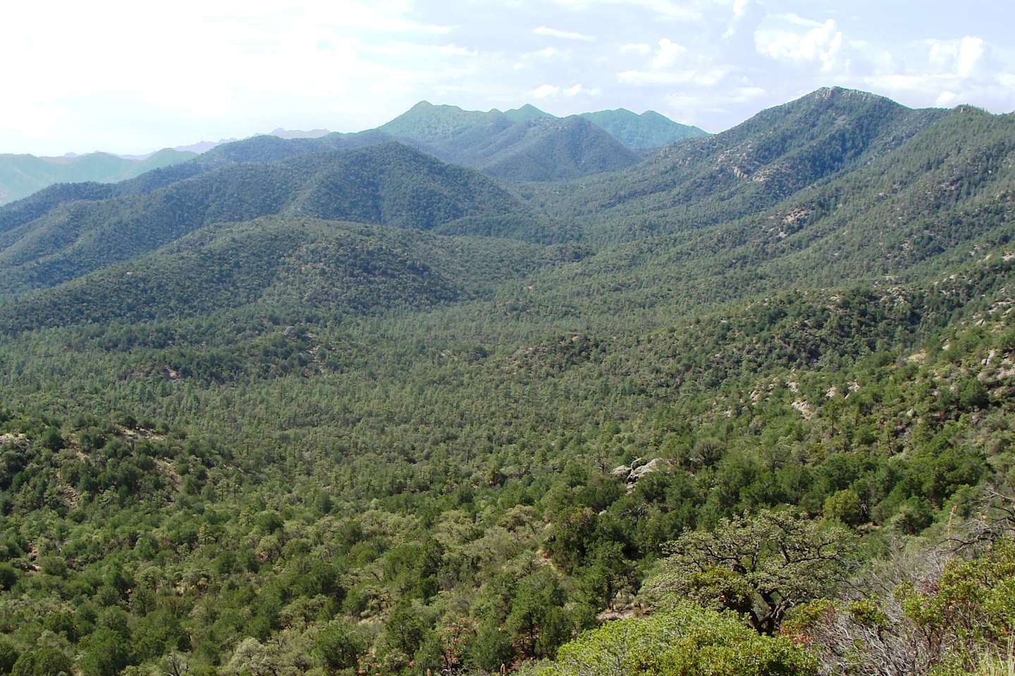 Best Camping In And Near Coronado National Forest