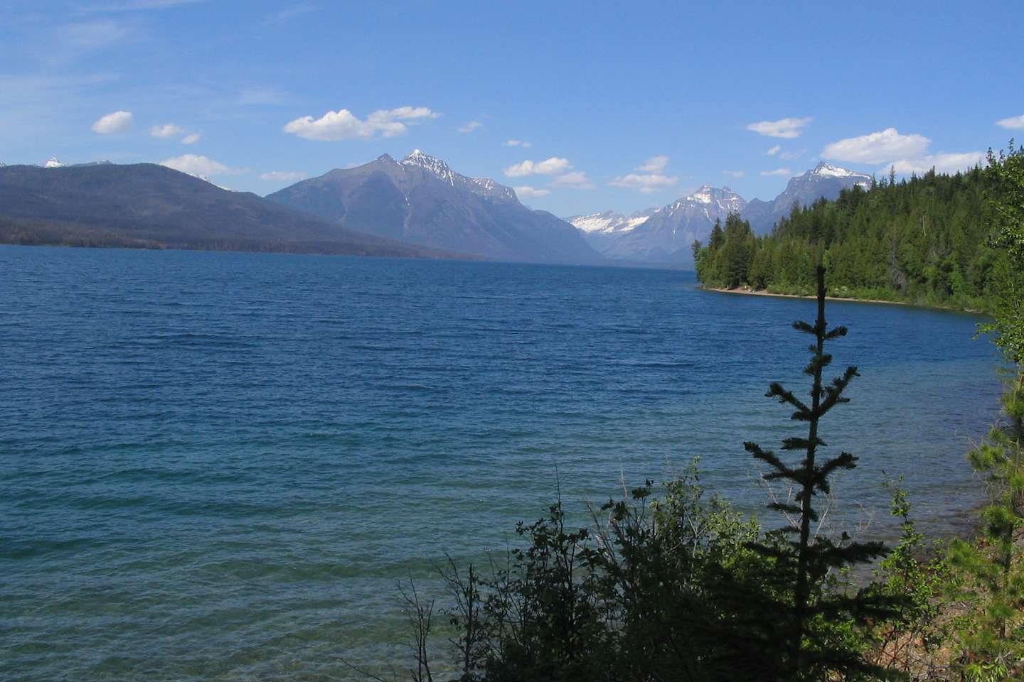 Best Camping In And Near Whitefish Lake State Park