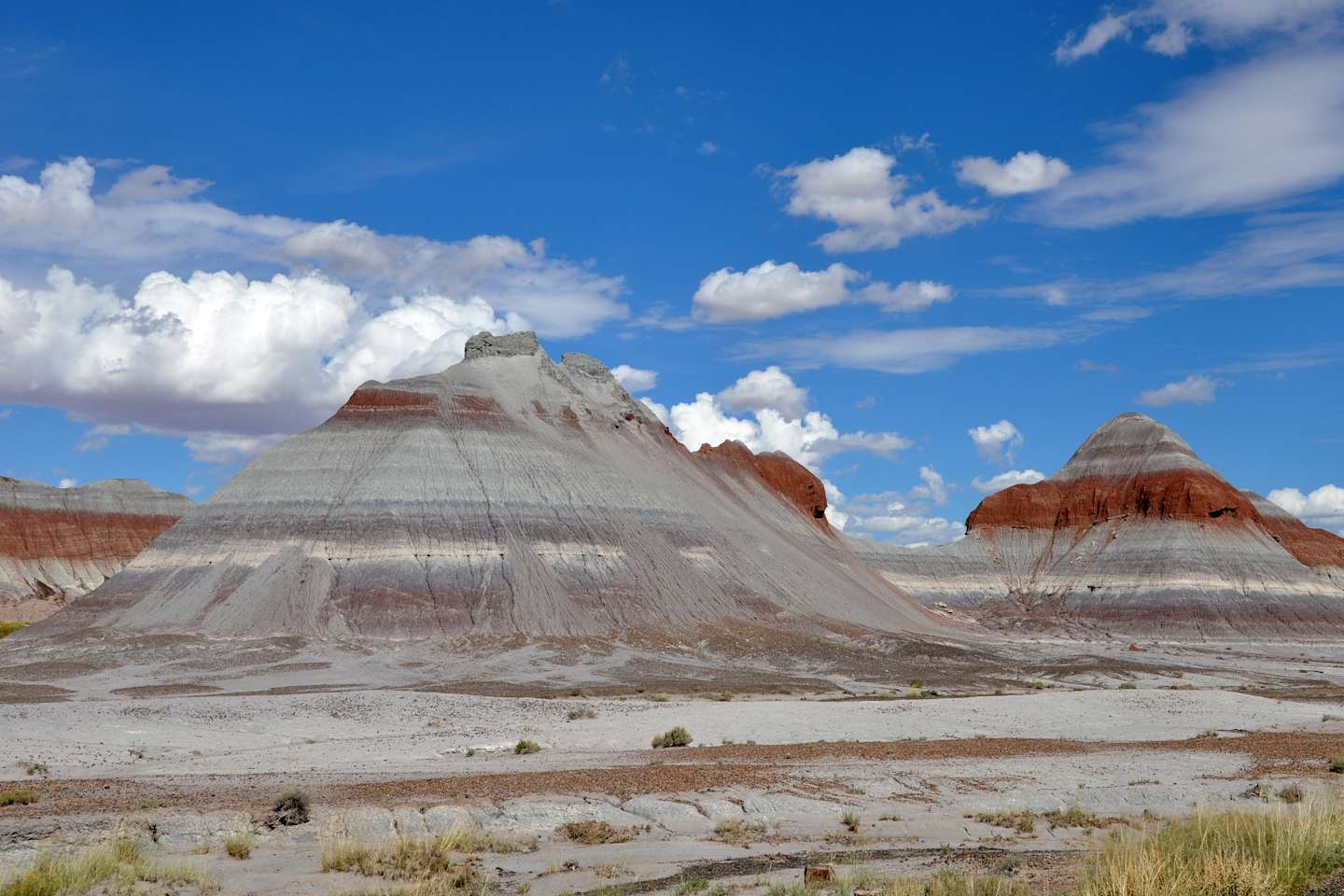 Best Camping In And Near Petrified Forest National Park