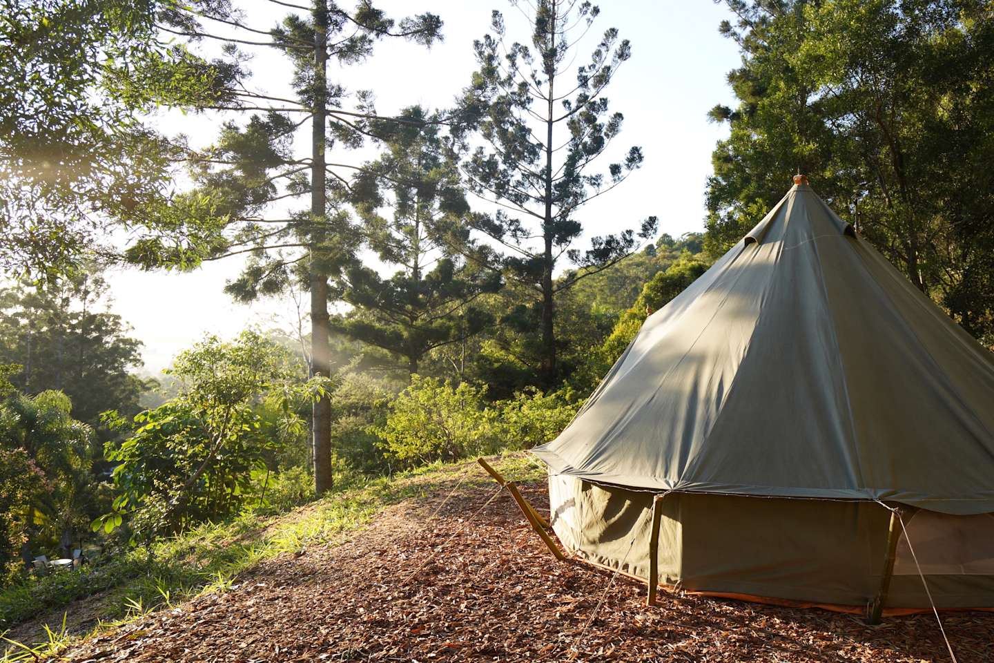 A Tent In The Forest Camping