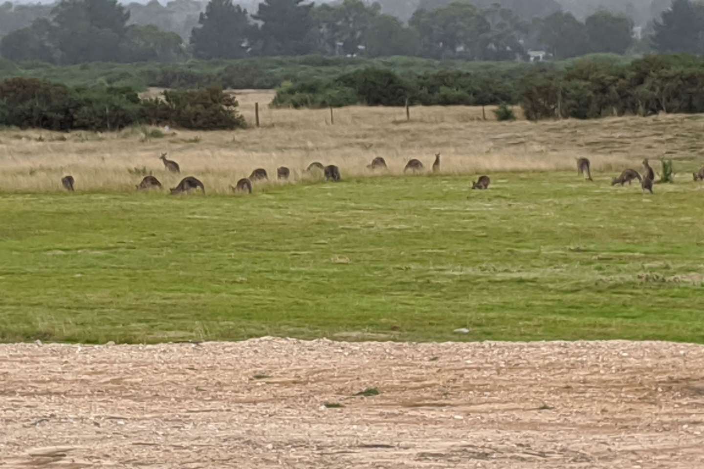 Farm Stay Near Ballarat Camping