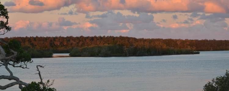 Near Far Yamba Camping