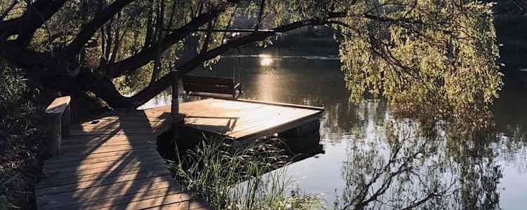 Weefarm Brisbane River Camping Camping