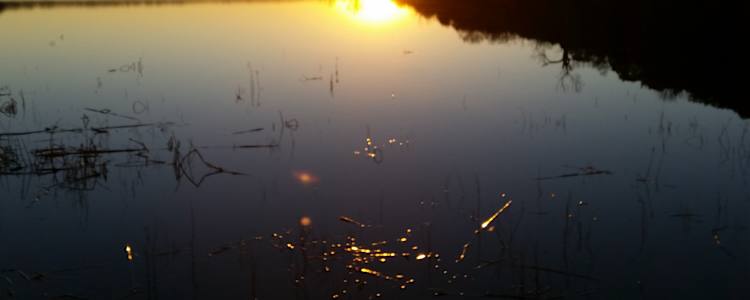 Best Camping In And Near Meridian State Park