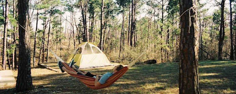Lugares Para Acampar En Texas / Krause Springs Krause Springs Texas Swimming Hole - Es uno de los cuatro bosques nacionales en texas y contiene 163.037 hectáreas, de acuerdo con el sitio web de lake conroe.