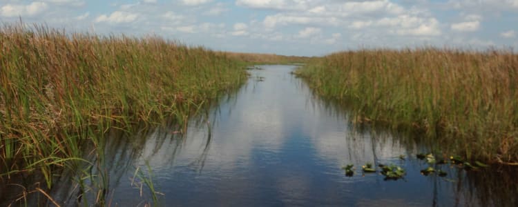 Camping - Everglades National Park (U.S. National Park Service)