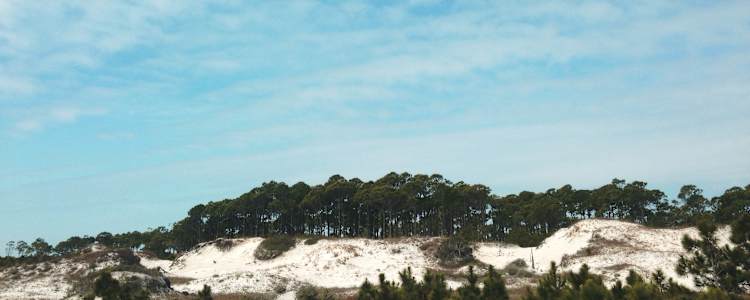 Best Camping In And Near Dr Julian G Bruce St George Island