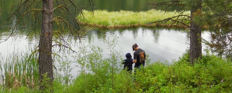 Best Camping In And Near Okanogan Wenatchee National Forest