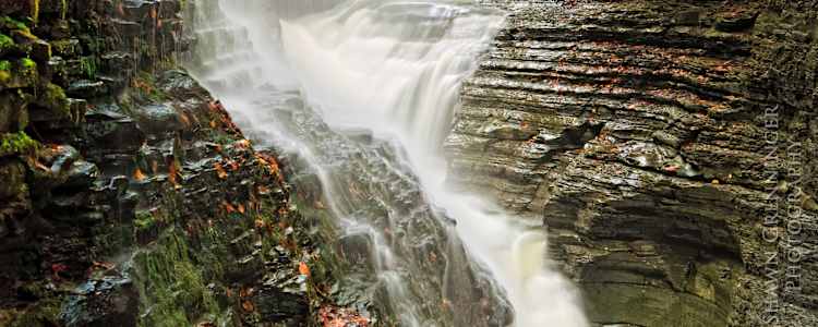 Best Camping In And Near Watkins Glen State Park