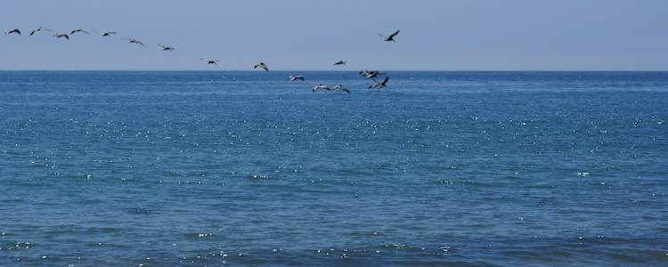 Best Camping In And Near Refugio State Beach