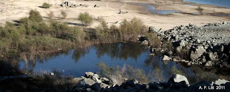 Best Camping In And Near Folsom Lake State Recreation Area