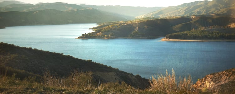 Best Camping in and Near Castaic Lake State Recreation Area