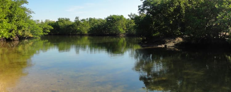 Best Camping In And Near Oleta River State Park