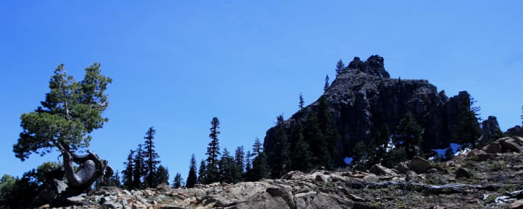 Klamath National Forest - Idlewild Campground