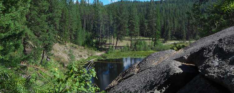 Best Camping In And Near Colville National Forest