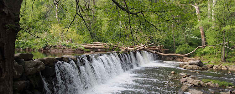 Best Camping In And Near Ridley Creek State Park