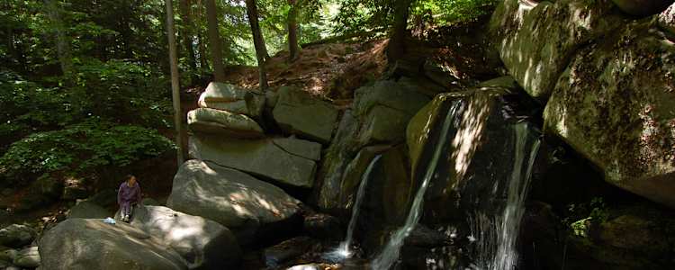 Best Camping In And Near Willard Brook State Forest