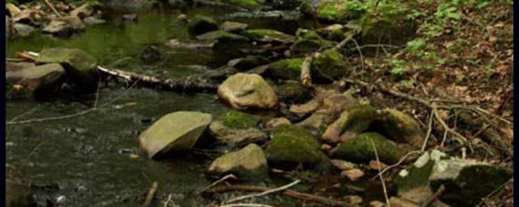 Best Camping In And Near October Mountain State Forest