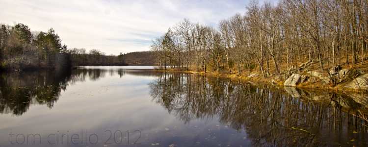 Best Camping In And Near Wawayanda State Park