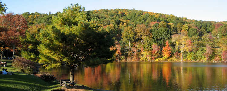 Best Camping In And Near Lake Waramaug State Park