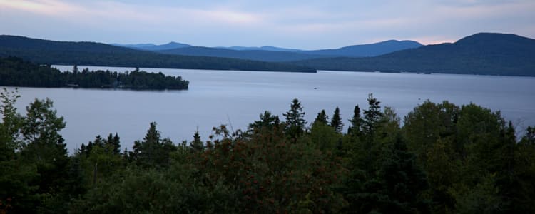 Maine Can Koozie - State With Trees