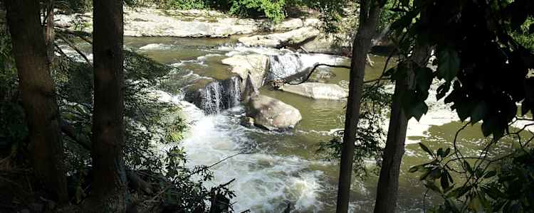 Best Camping In And Near Herrington Manor State Park