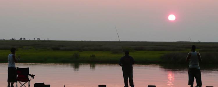 Best Camping In And Near Janes Island State Park