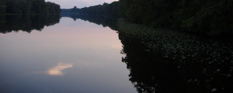 Martinak State Park Reviews