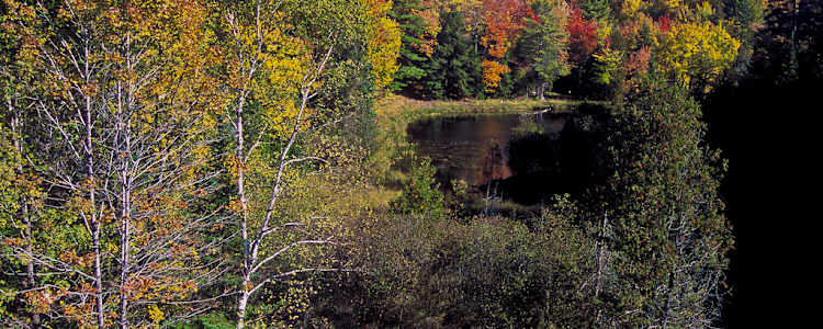 20 Amazing Campsites Near Hiawatha National Forest Interactive Map