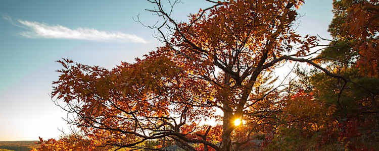 Best Camping In And Near Ottawa National Forest