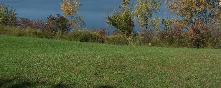 Best Camping in and Near Deer Creek State Park