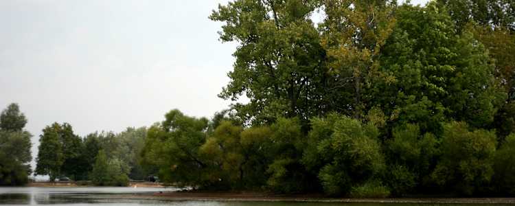 Best Camping In And Near Mosquito Lake State Park