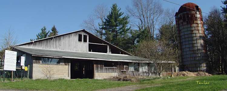 Best Camping In And Near Muskingum River State Park
