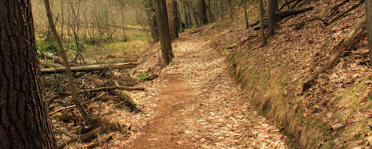 Best Camping In And Near Rocky Arbor State Park