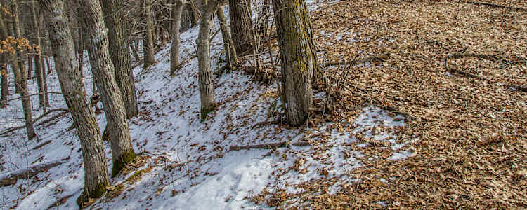 Best Camping In And Near Sand Dunes State Forest