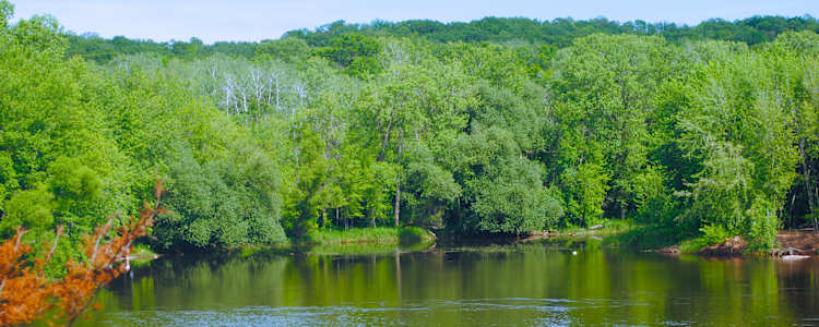 Best Camping In And Near Wild River State Park