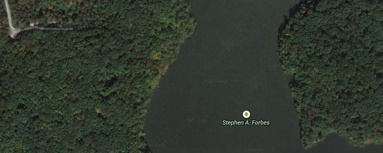 Best Camping In And Near Stephen A Forbes State Recreation Area