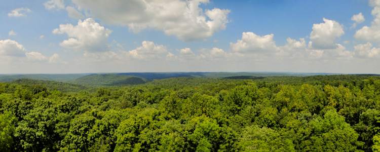 Best Camping In And Near O Bannon Woods State Park