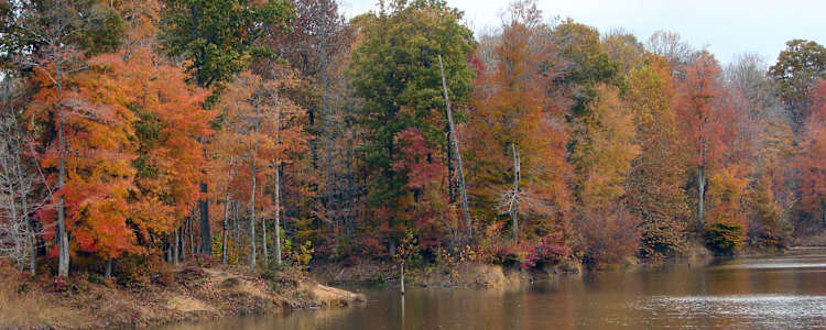 Best Camping In And Near Patoka Lake
