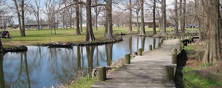 Best Camping In And Near Reelfoot Lake State Park