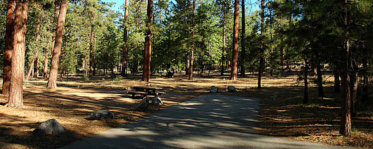 58 Campgrounds In San Bernardino National Forest Over 30 Campsites Nearby
