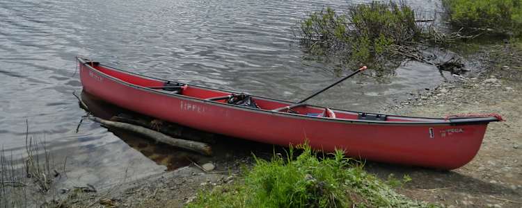 Best Camping In And Near Nancy Lake State Recreation Area