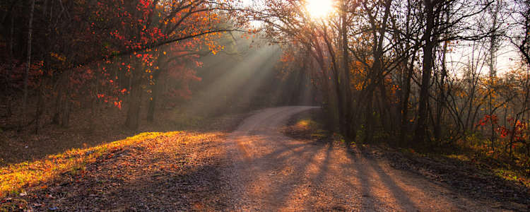 Best Camping In And Near Mark Twain National Forest