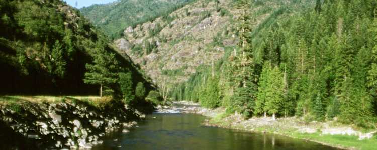Best Camping In And Near Nez Perce Clearwater National Forests