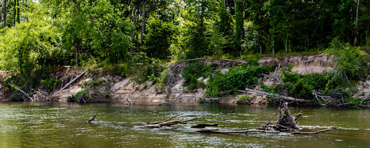 Best Camping In And Near Bogue Chitto State Park